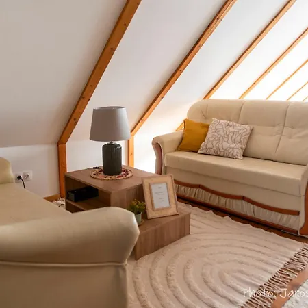 Villa A Svájci Portája Tiszadada