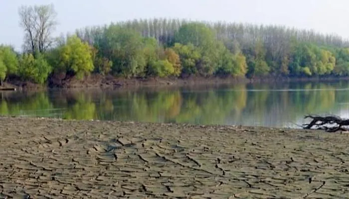 A Svajci Portaja Tiszadada